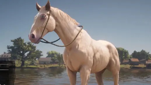 布埃尔（荷兰温血马）