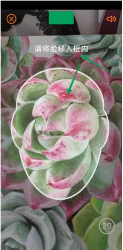 老来健康app最新版