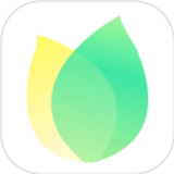 飞火手机动态壁纸2026新版app下载安卓版v2.2.11